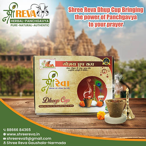Gomay Dhoop Cup (Sambrani Cup) 12Pcs in a Box